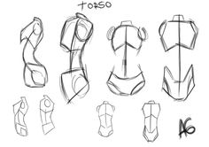 an image of how to draw female torsos