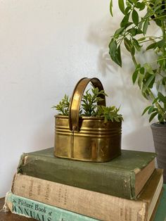 a stack of books sitting next to a potted plant on top of each other