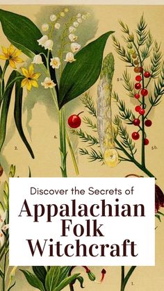 Journey into the heart of the mountains with our guide to Appalachian Folk Witchcraft. 🌲🔮 Uncover the rich traditions, spells, and practices rooted in this unique form of witchcraft. Learn how Appalachian witches blend herbalism, folklore, and spiritual wisdom in their craft. Ideal for anyone fascinated by folk magic and cultural heritage. Begin your magical mountain journey - Click to explore! #FolkWitchcraft #AppalachianMagic Granny Witch Appalachian, Appalachian Superstitions, Appalachian Medicine, Scared Symbols, Dnd Ingredients, Appalachian Witchcraft, Appalachian Crafts, Wiccan Practices, Folk Witchcraft