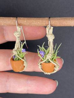 two small potted plants with tiny purple flowers on them are being held by someone's hand