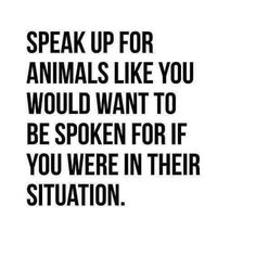 the words speak up for animals like you would want to be spoken for if you were in their situation