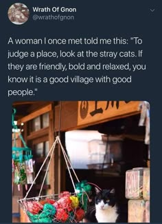 a cat sitting in a basket on top of a table next to a sign that says,