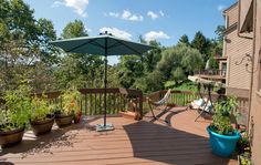 an outdoor deck with hammock, potted plants and umbrella