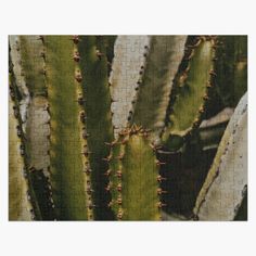 a jigsaw puzzle with an image of a cactus