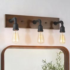 three light bulbs are hanging on the wall above a mirror with a potted plant in front of it