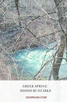 a river surrounded by trees with the words green spring missouri o'arks