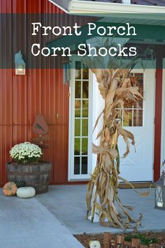 front porch corn stalks with pumpkins and gourds in the foreground text reads, front porch corn shoots