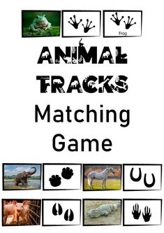 an animal tracks matching game is shown in black and white with images of different animals