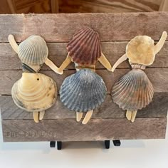 four seashells are arranged on a wooden board