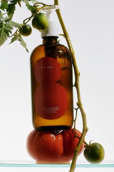 Our Tomato Hand Soap is a kiss on the hand from Mother Nature, freshly picked and velvety smooth. It’s the smell of balmy Summer nights in the Flamingo garden, when plump Tomatoes hang heavy from the vine and notes of freshly crushed leaves linger in the air. We used our silky Avocado Oil and Olive Oil to provide a super hydrating base. The result is a fresh, herbaceous formula that melts onto your hands and leaves the skin feeling supple and alive. Flamingo Estate, Black Pepper Essential Oil, Flamingo Garden, Harvesting Herbs, Wild Harvest, Moisturizing Lotion, Freshly Picked