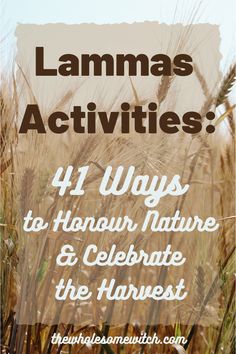 Witch Wheel Of The Year, Lammas Lughnasadh, Witches Wheel, Farm Lessons, Outdoor Meditation, Harvest Celebration, Fire Festival, Wheel Of The Year, Pagan Witch