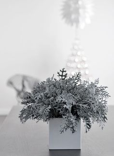 a plant in a white square vase on a table