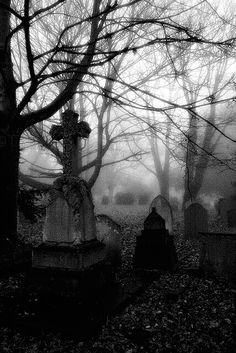 black and white photo of cemetery in the fog with tombstones, trees and headstones