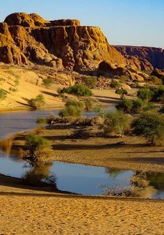 there is a horse that is standing in the desert