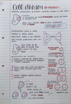 Clear revision notes gcse revision Ela Notes Aesthetic, Biology Revision Gcse Aqa Paper 1, Cell Division Notes Aesthetic, Maths Gcse Revision Notes, Revision Notes Aesthetic, Biology Revision Gcse, Chemistry Notes Aesthetic, Science Notes Aesthetic