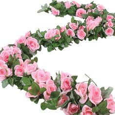 pink roses arranged in the shape of an e