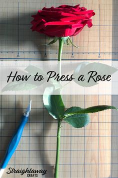 a red rose sitting on top of a wooden table next to a pen and paper