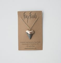 Prehistoric Fossilized Shark Tooth Pendant Necklaces—Large Large, REAL, handmade megalodon shark tooth necklaces painted in gold at the root/top. Each necklace is 100% unique and there is only 1 of each. You will receive the exact shark tooth necklace pictured. Each one of these highly prized fossil shark teeth were hand-collected by Foxy Fossils in Charleston, SC (ethically, sustainably, responsibly, and legally). You will receive the necklace packaged in a small gift bag with a species identif Shark Chain, Shark Tooth Pendant, Tooth Charm, Megalodon Shark, Necklace Packaging, Shark Tooth Necklace, Fossil Teeth, Large Pendant Necklace, Tooth Necklace