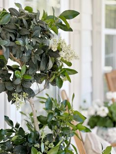 a potted plant sitting on top of a wooden table next to a white house