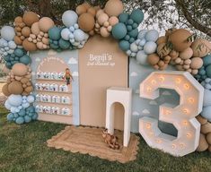 a birthday party with balloons and decorations on the grass, including a large balloon arch