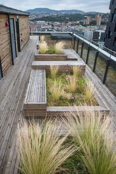 a wooden deck with benches and plants on it's sides, overlooking the city