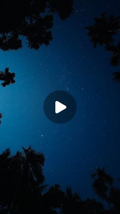 the night sky with palm trees and stars in it, as well as a play button