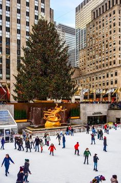 people skating on an ice rink in front of a large christmas tree with a gold statue