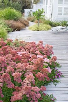 the flowers are blooming on the wooden deck in front of the house and lawn chair