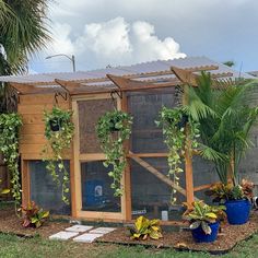 a chicken coop with plants growing on the roof and side walls in front of it