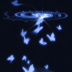 many blue butterflies flying in the dark with light shining on them and some circles around them