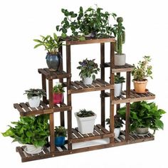 a wooden shelf filled with potted plants on top of each other