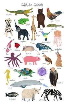 an animal poster with different types of animals