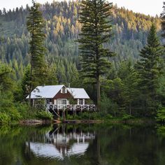 a house sitting on the shore of a lake surrounded by pine trees and evergreens