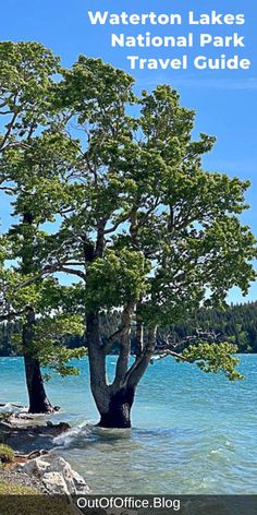 waterton lakes national park travel guide with trees in the foreground and blue sky above