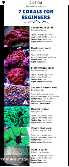 the brochure shows different types of corals