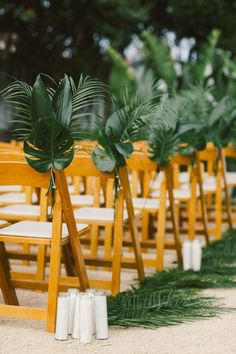 rows of wooden chairs with palm leaves on them