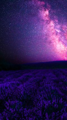 the night sky is filled with stars and purple flowers