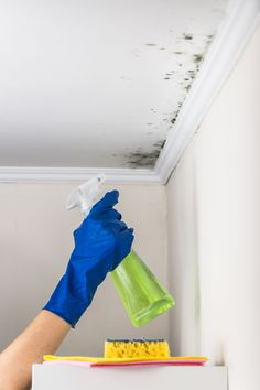 a person in blue gloves is cleaning the ceiling with a spray bottle and sponges