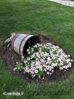 a bucket filled with flowers sitting on top of a lush green field