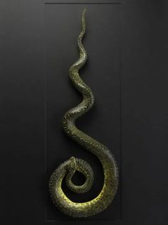 a snake is curled up in the shape of a spiral on a black background with a white frame