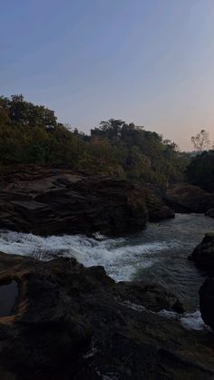 a river flowing through a lush green forest