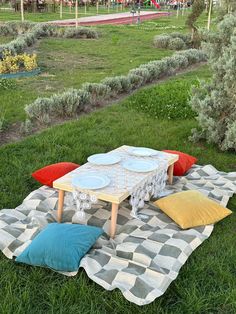 a picnic blanket on the ground with pillows and plates laid out in front of it