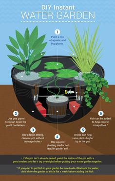 an info sheet describing how to use the water garden for plants and other aquatic life