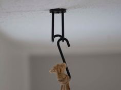 a cat is hanging upside down from the ceiling with its head stuck in a pole