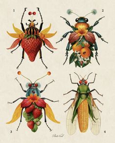 four different types of bugs with fruit on them