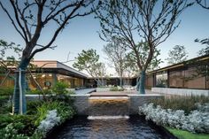 an outdoor courtyard with water feature and trees