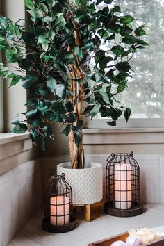 a potted plant sitting on top of a table next to two lit candle holders