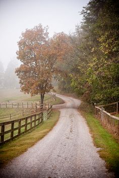 a dirt road in the middle of a field with trees on both sides and a fence around it