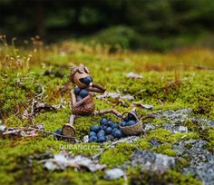 a figurine sitting on top of a moss covered ground next to blueberries