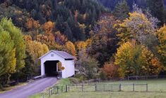 a small white covered bridge in the middle of a forest with trees turning yellow and orange